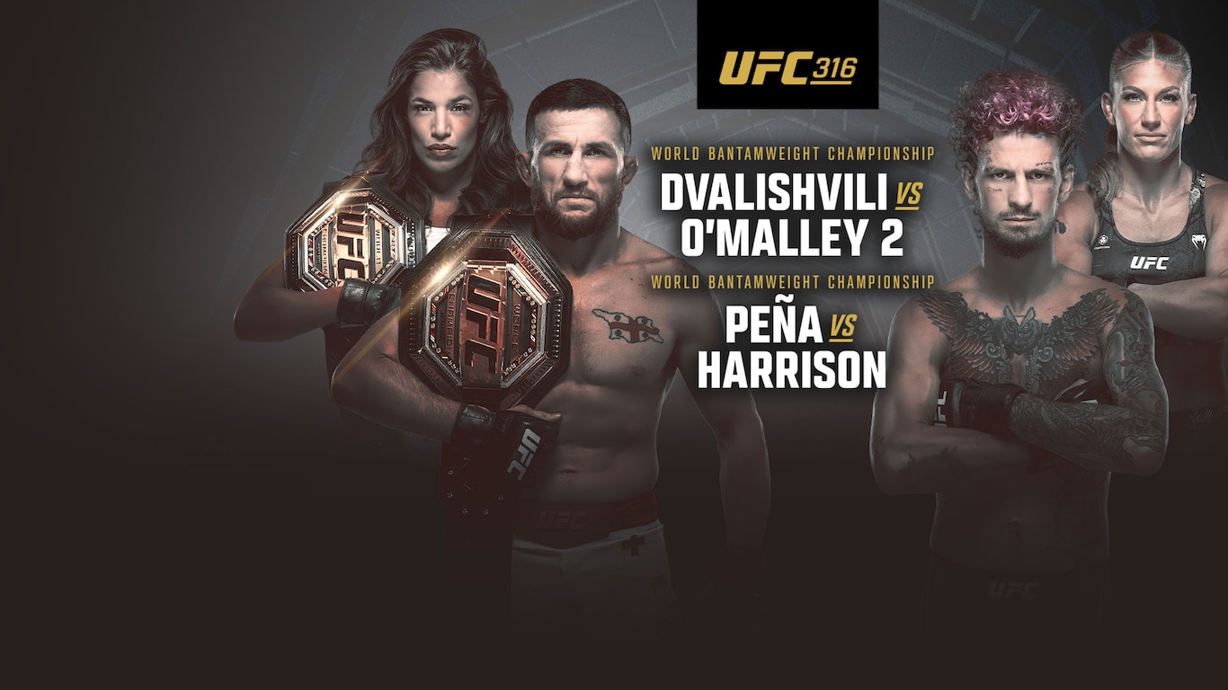 UFC 316