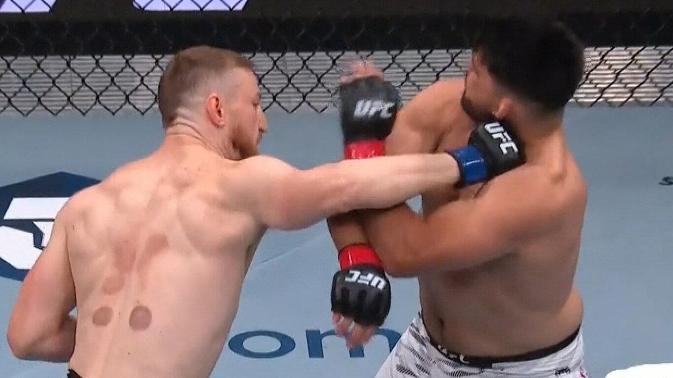 UFC 316 - Dvalishvili vs O'Malley 2