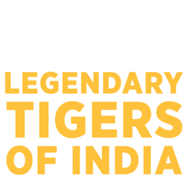 Legendary Tigers Of India