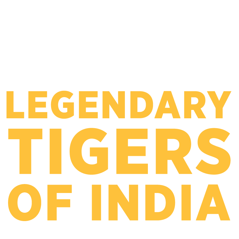 Legendary Tigers Of India