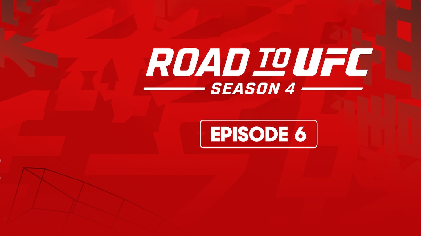 Road to UFC