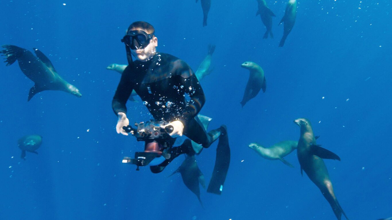 The Deep
