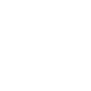 Inside Our Minds