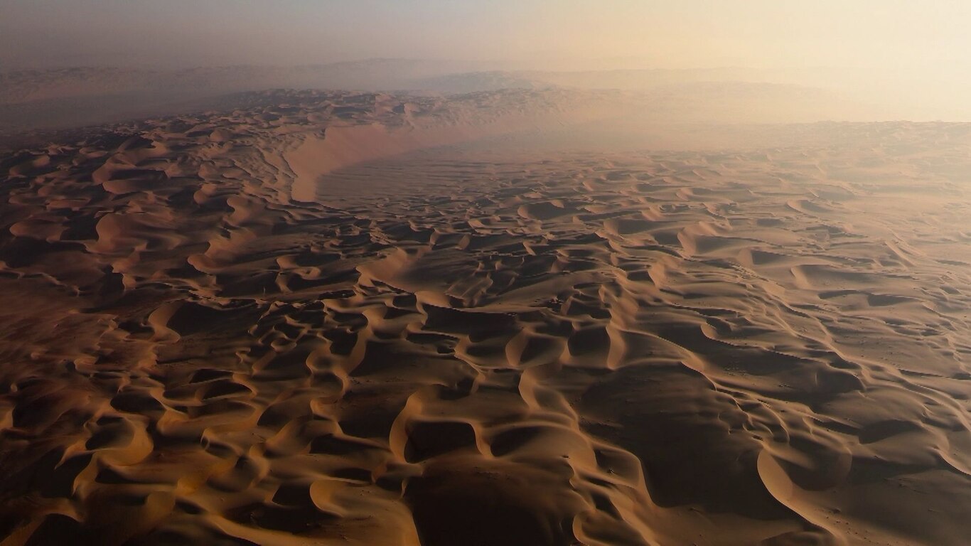 The Arid Heart
