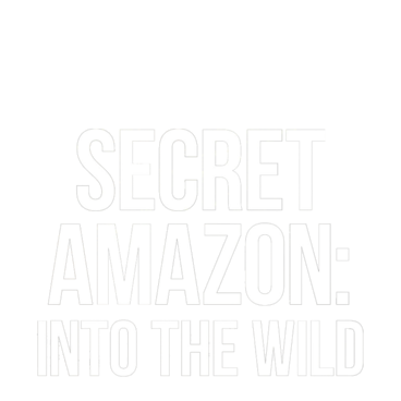Secret Amazon: Into the Wild
