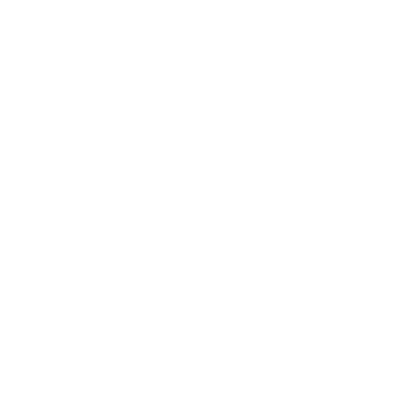 DFL Supercup