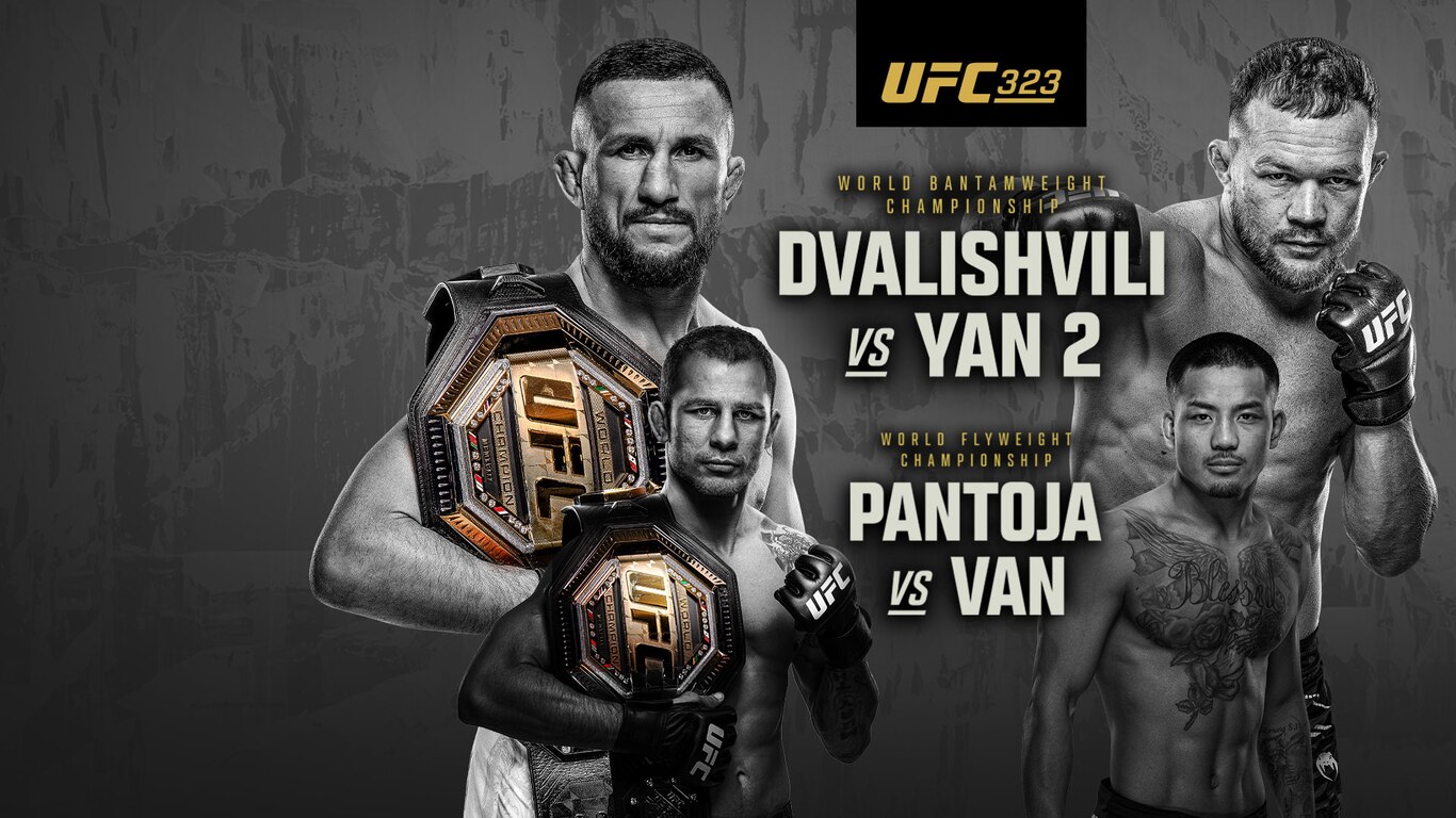 UFC 323 - Dvalishvili vs Yan 2