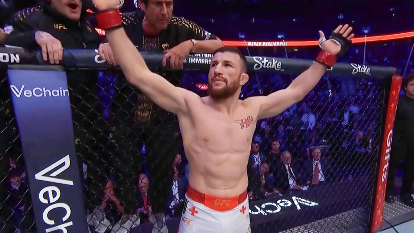 UFC 323 - Dvalishvili vs Yan 2