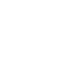 UFC: The Walk
