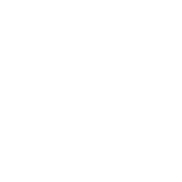 UFC: The Walk