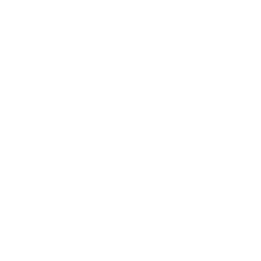 Wonder Women