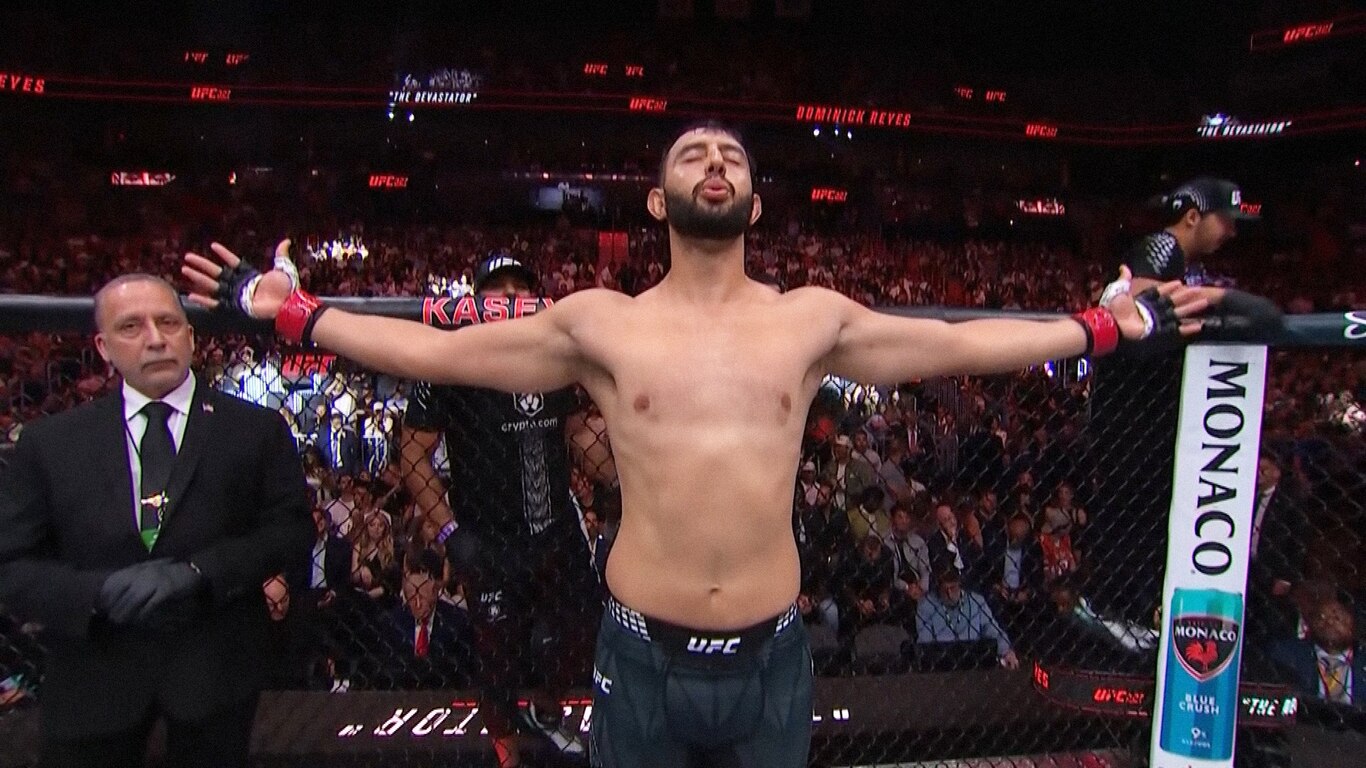 UFC 327 - Prochazka vs Ulberg