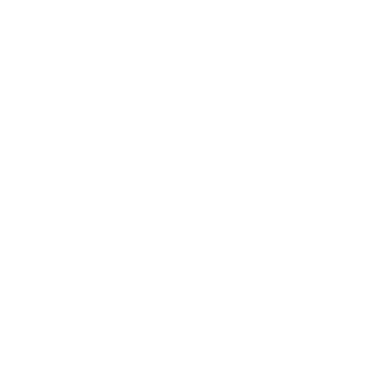 Toh Ti Ani Fuji