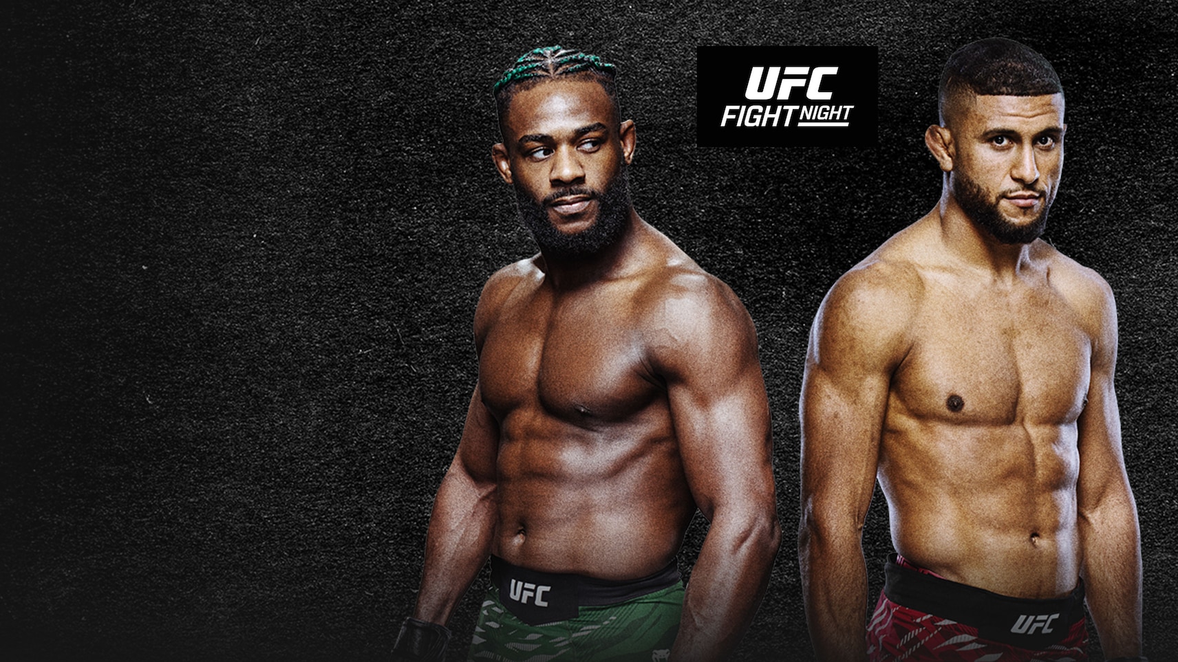 UFC Fight Night - Sterling vs Zalal