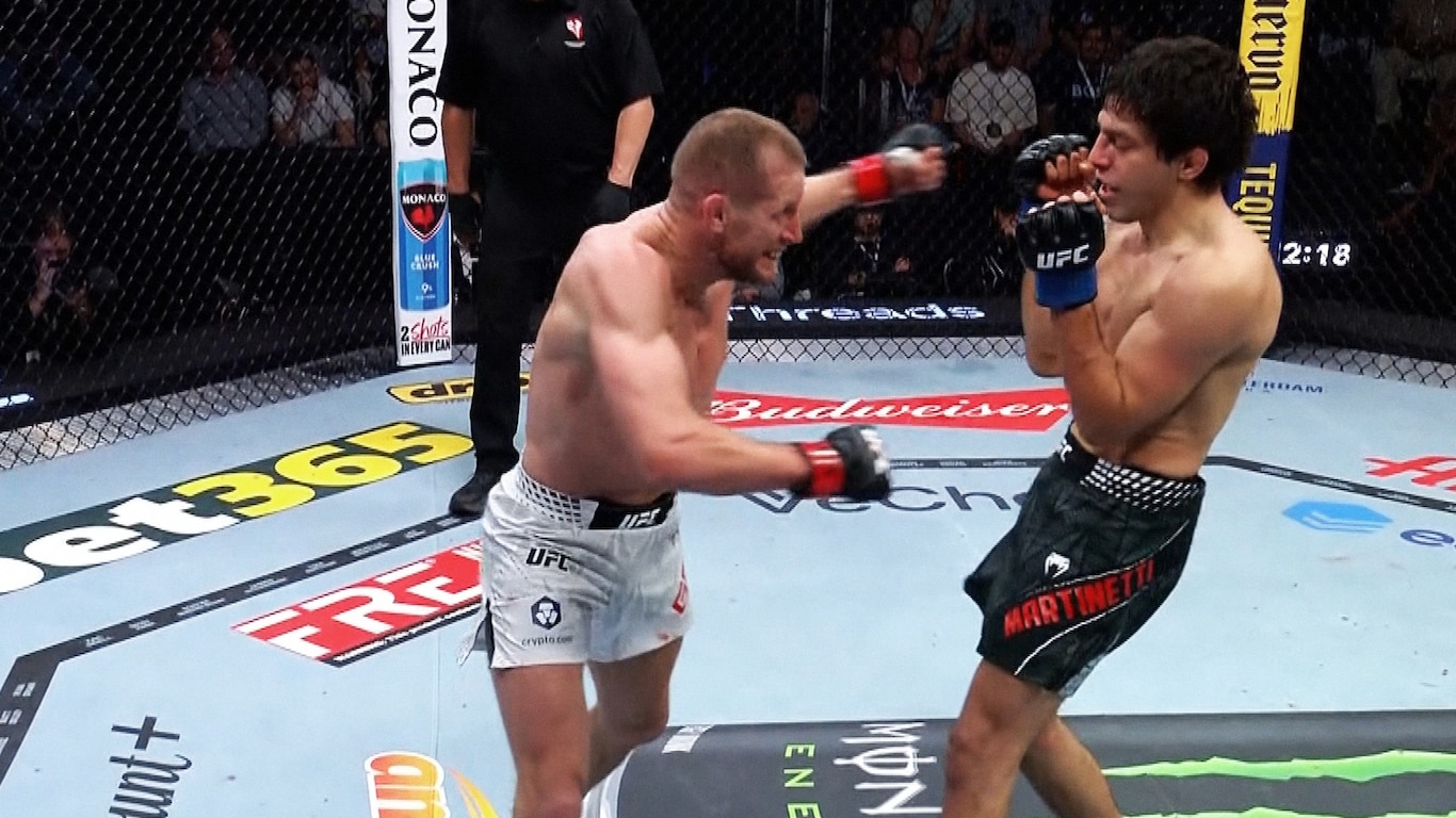 UFC Fight Night - Sterling vs Zalal