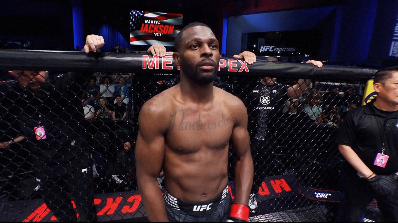UFC Fight Night - Sterling vs Zalal