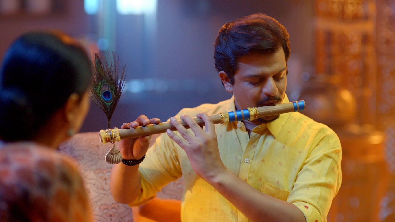 Pushpa Meets Krishna