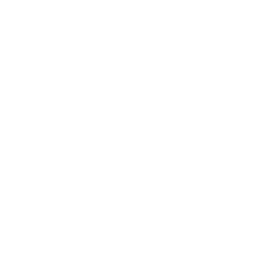 UEFA Champions League