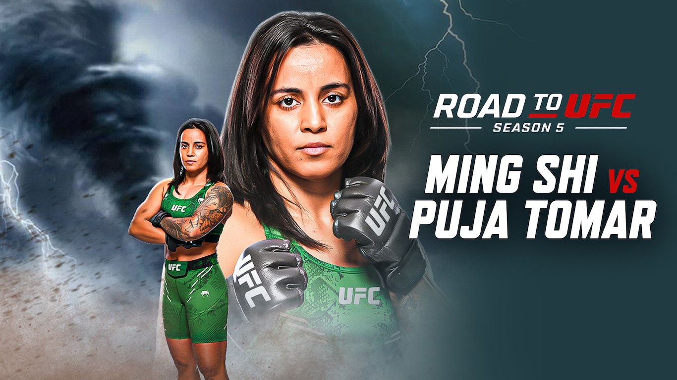 Road to UFC