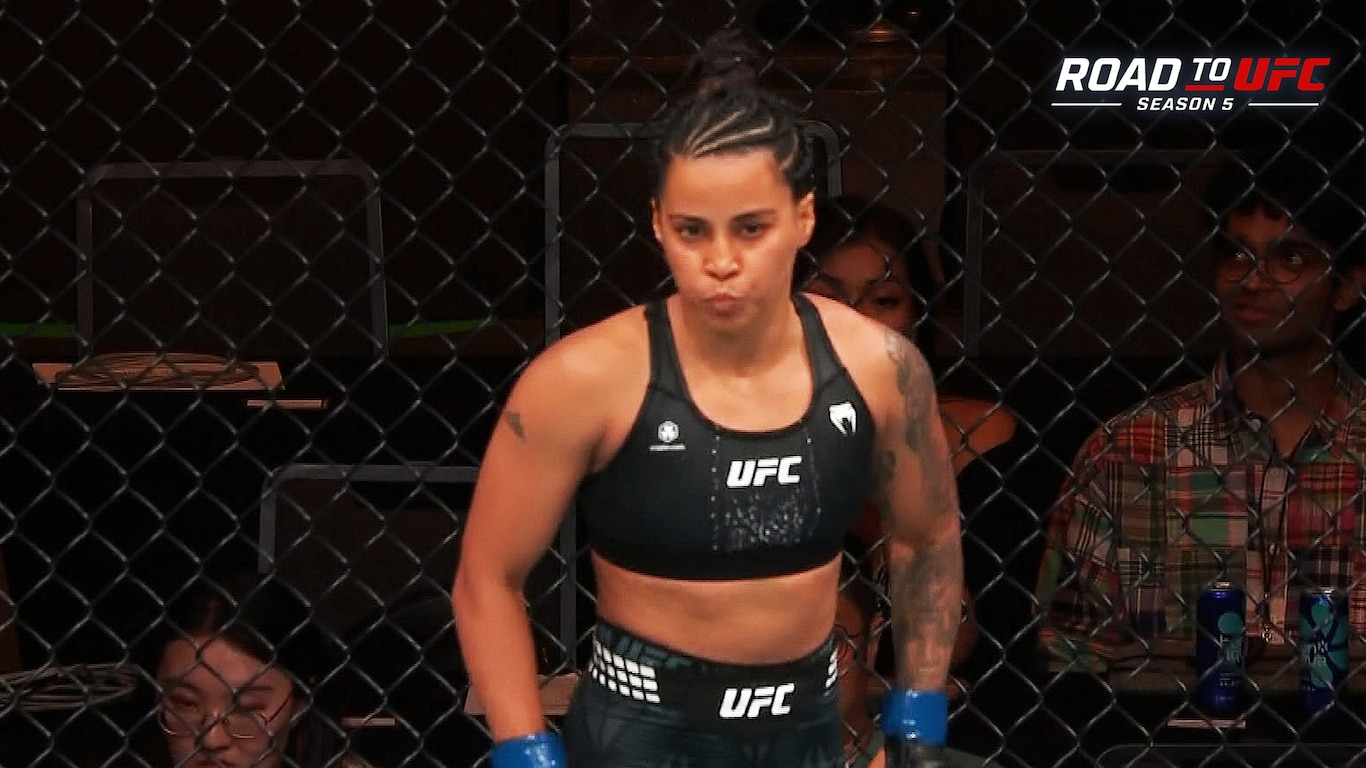 Road to UFC