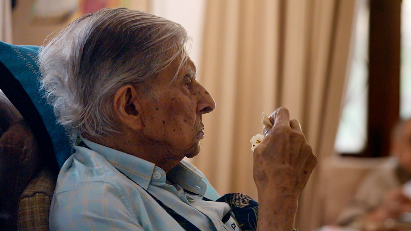 Krishen Khanna: Lines of Memory