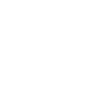 UFC 2023-24