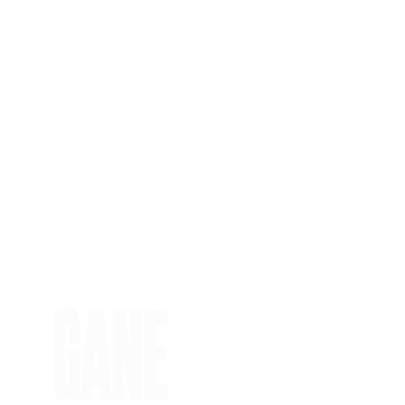UFC 2020-21