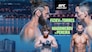 UFC Fight Night - Fiziev vs Torres