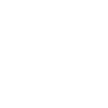 Freedom Fight