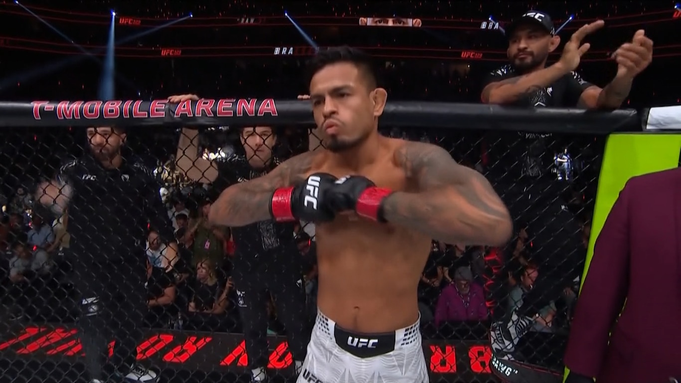 UFC 329 - McGregor vs Holloway 2