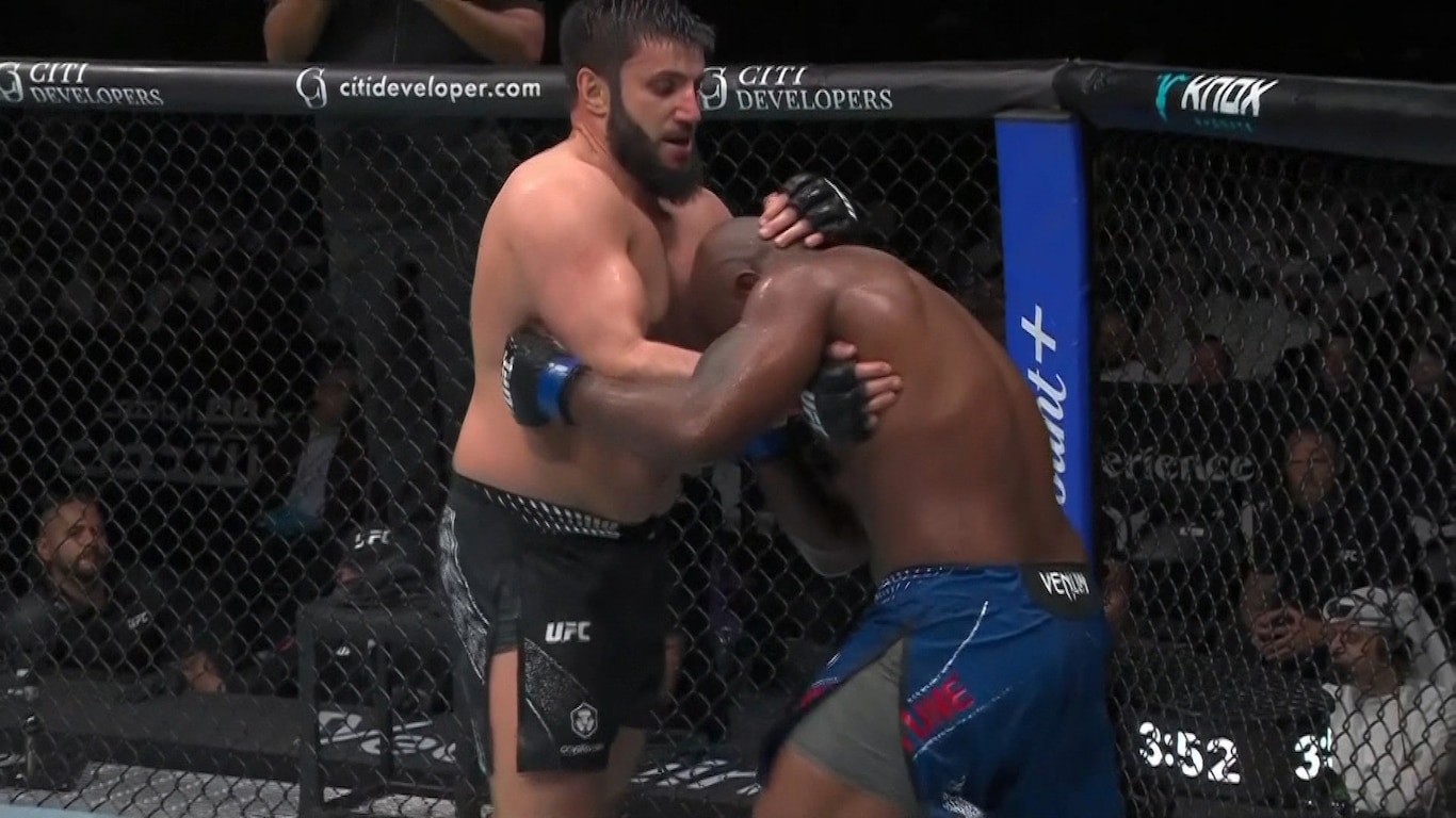 UFC Fight Night - Ankalaev vs Guskov