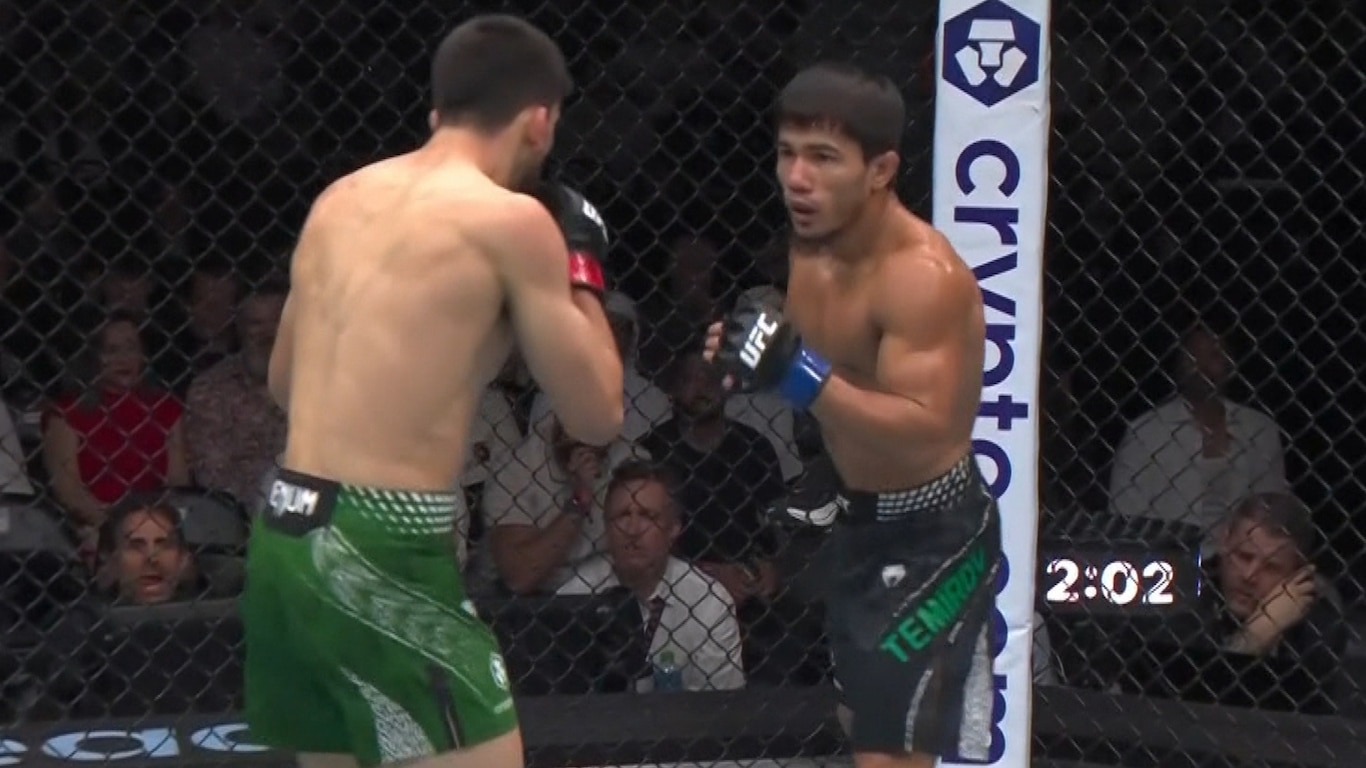 UFC Fight Night - Ankalaev vs Guskov