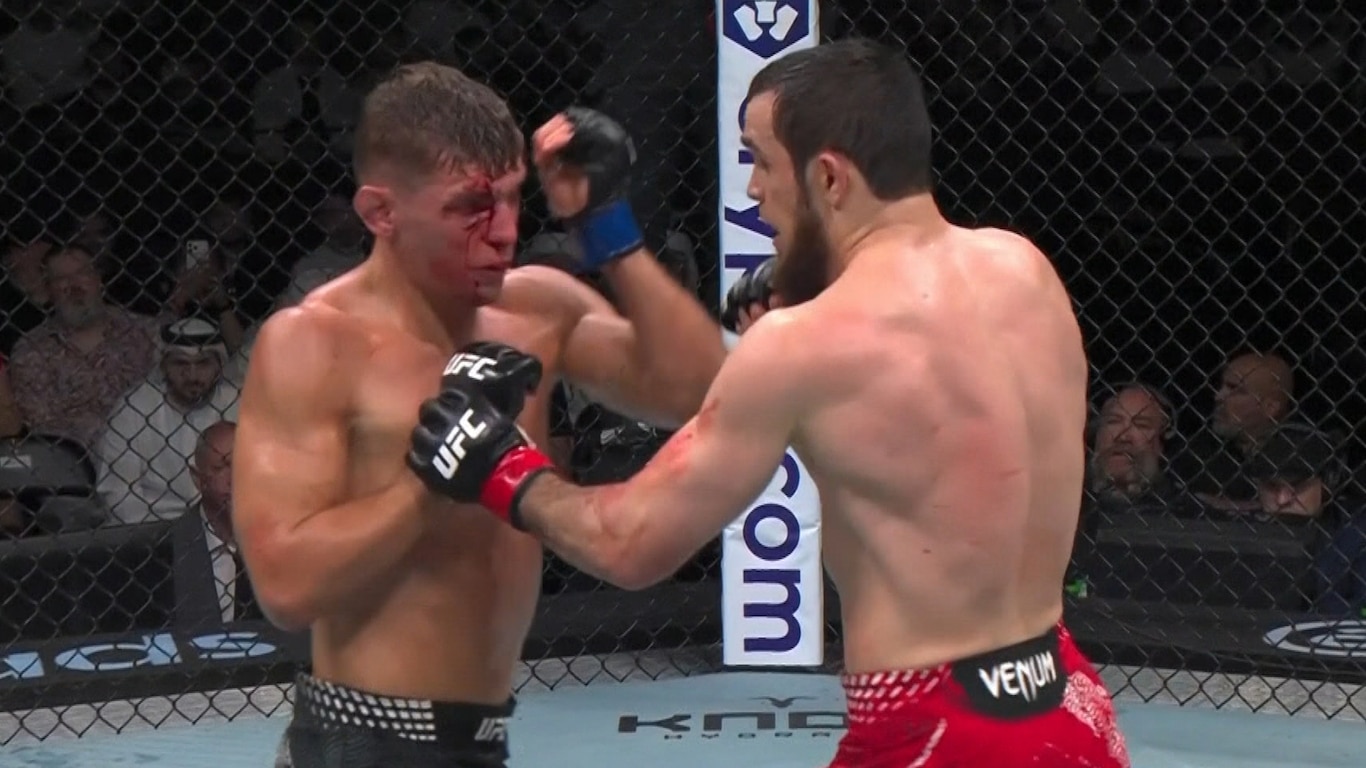 UFC Fight Night - Ankalaev vs Guskov