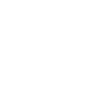 Solo Leveling