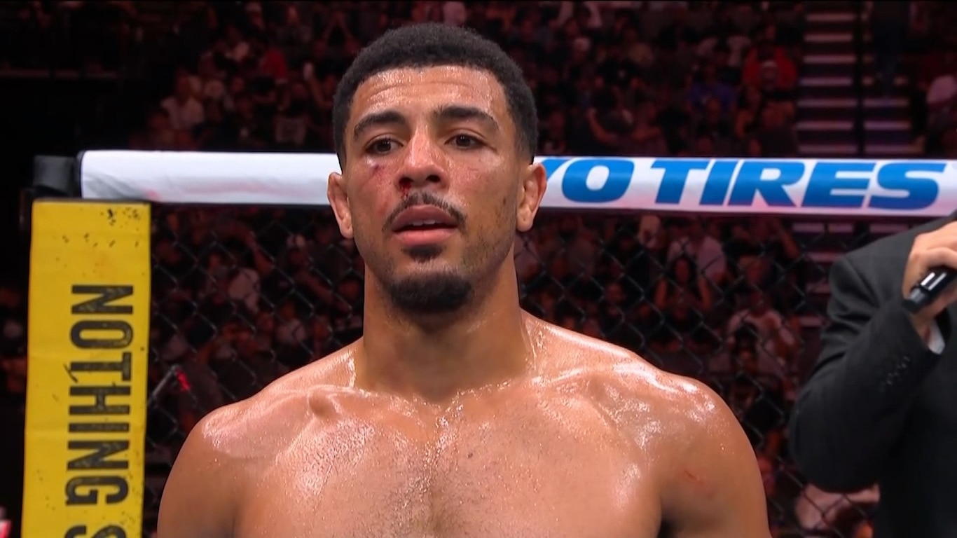 UFC Fight Night - Hernandez vs Rodrigues 