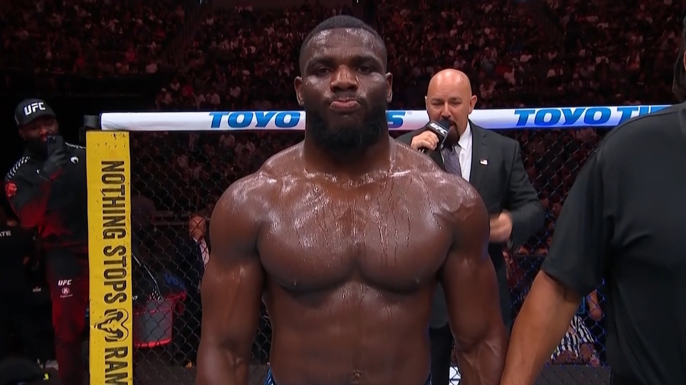 UFC Fight Night - Hernandez vs Rodrigues 