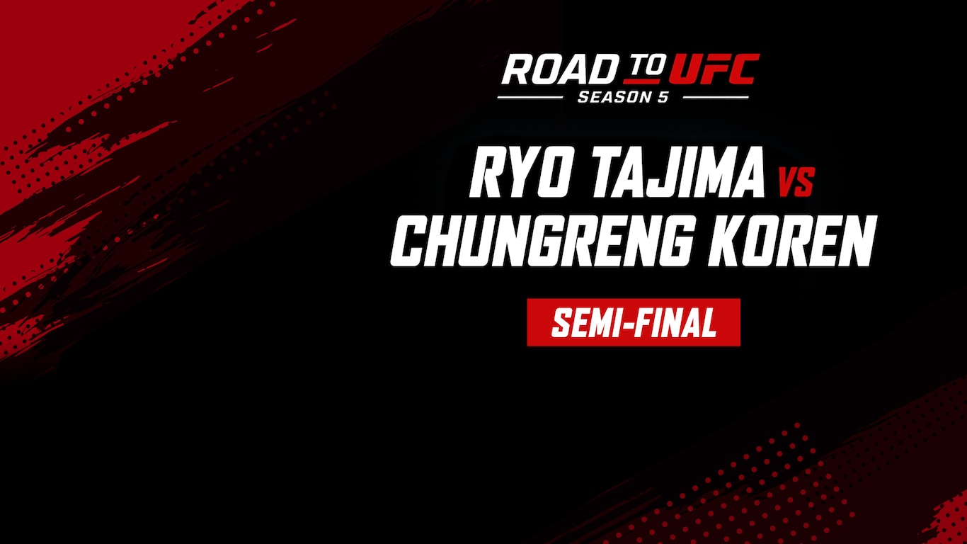 Road to UFC