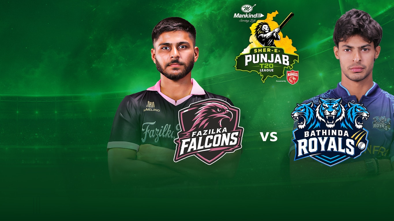 Sher-E-Punjab T20 League