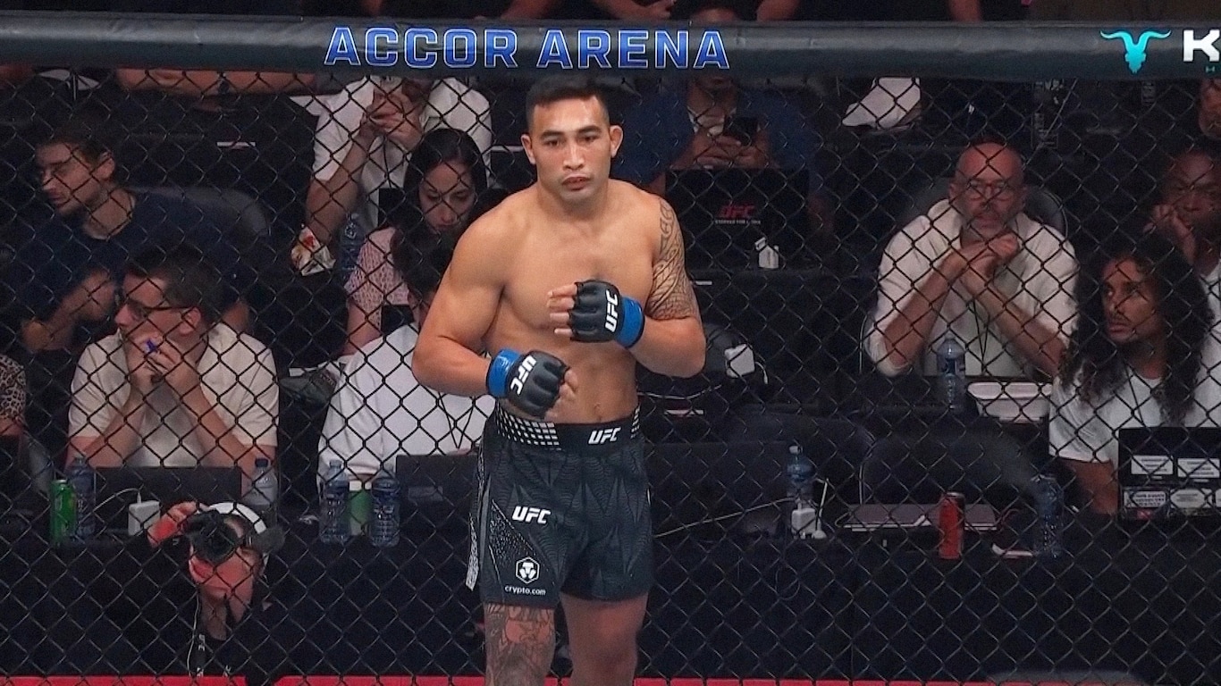 UFC Fight Night - Hooker vs Parnasse