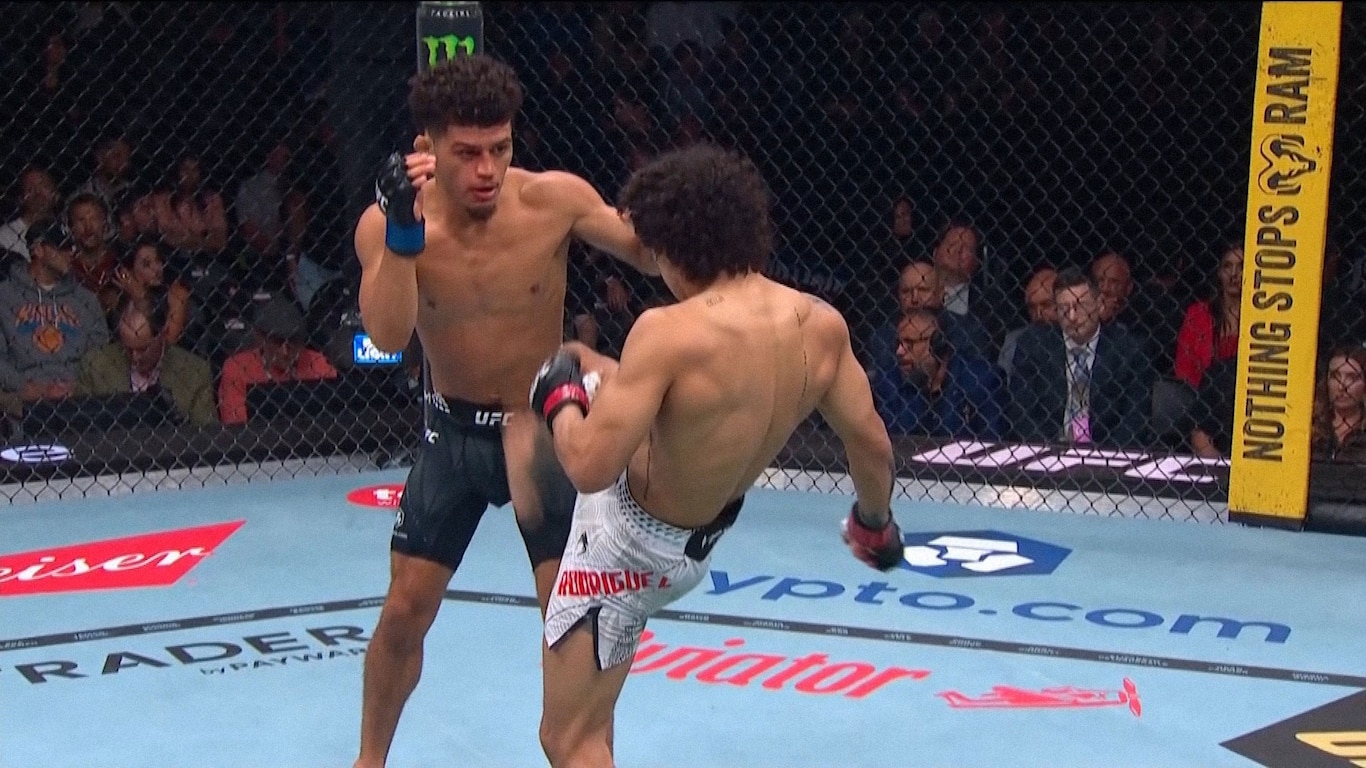UFC 332 - Silva vs Wang
