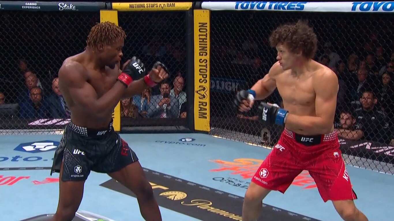 UFC 332 - Silva vs Wang