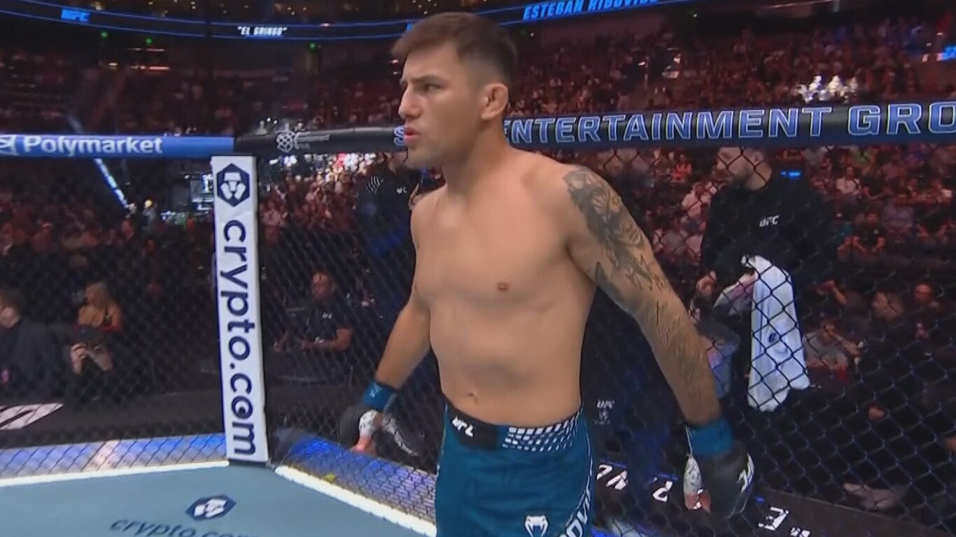 UFC 332 - Silva vs Wang