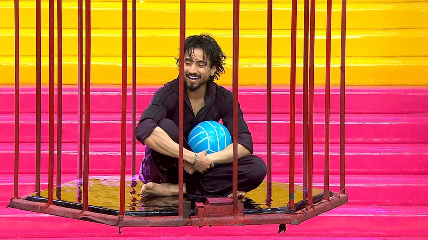 Bounce, Balance, Multiply!