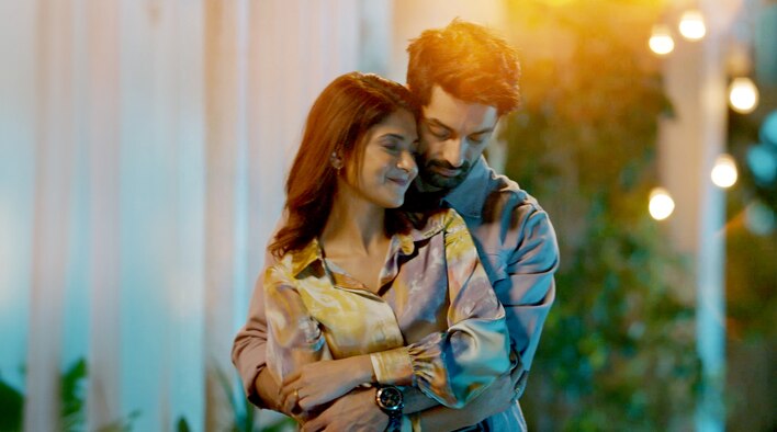 Raisinghani vs Raisinghani