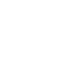 New York: America's Busiest City