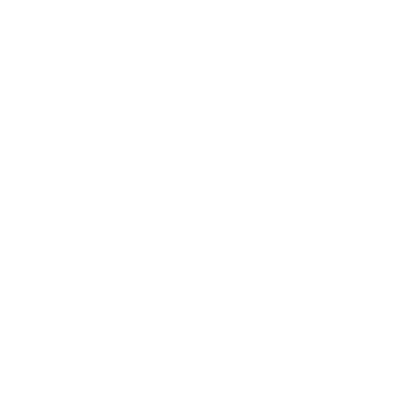England Tour of New Zealand 2024