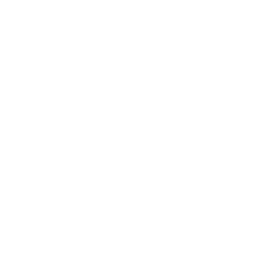 England Tour of New Zealand 2024