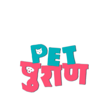 Pet Puraan (Hindi)