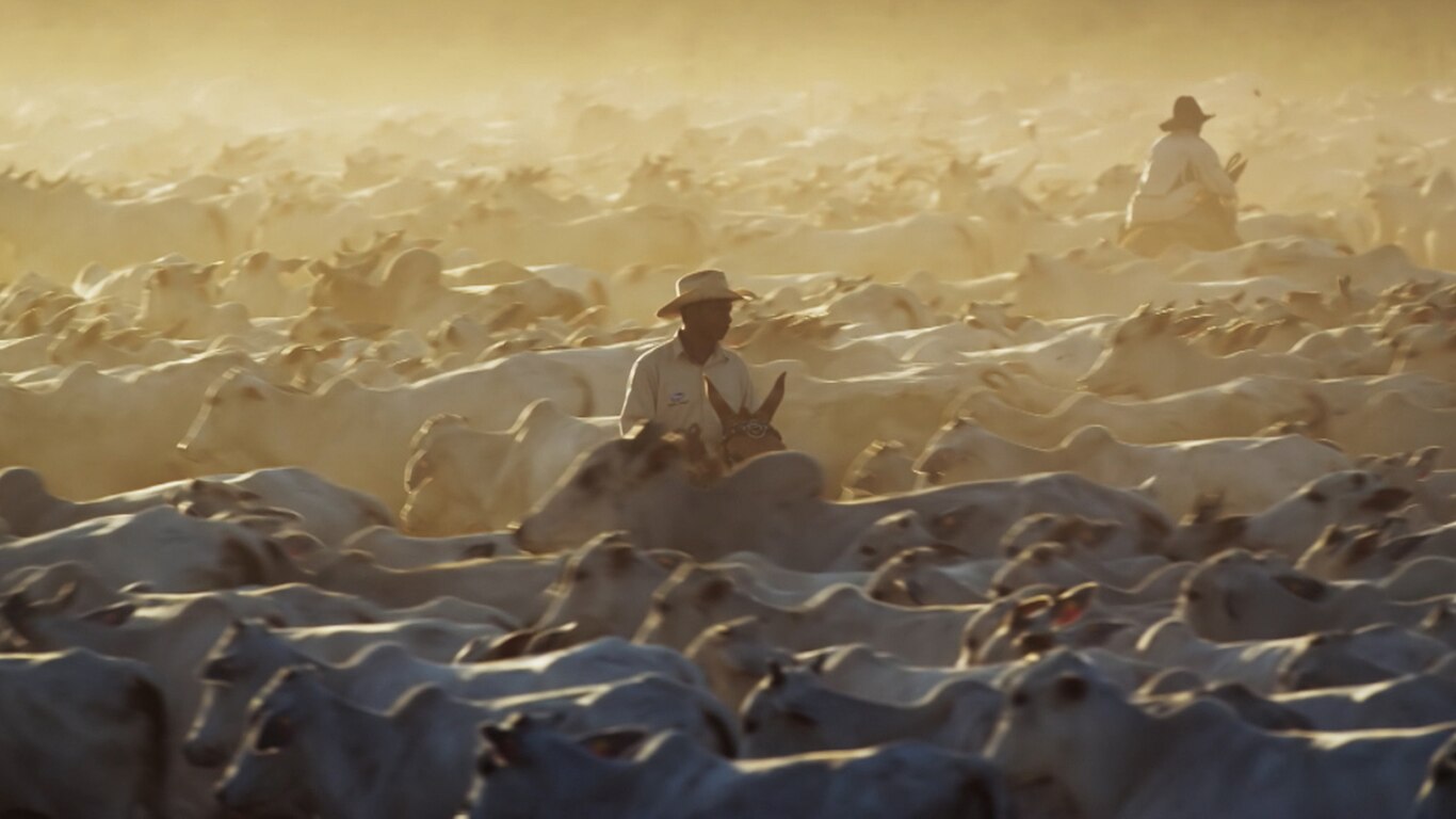 Human