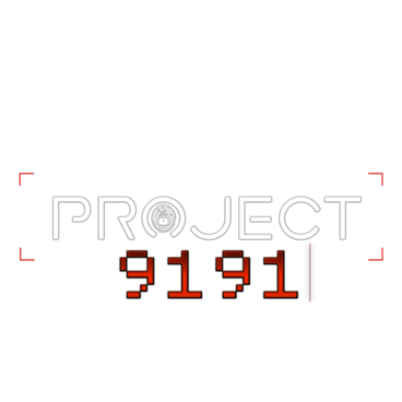 Project  9191